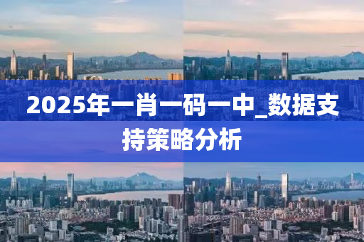 2025年一肖一码一中_数据支持策略分析