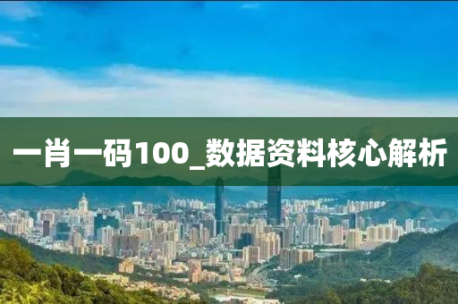 一肖一码100_数据资料核心解析