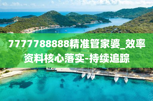 7777788888精准管家婆_效率资料核心落实-持续追踪