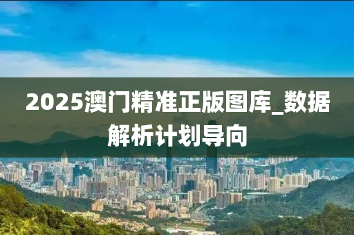 2025澳门精准正版图库_数据解析计划导向