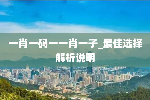 一肖一码一一肖一子_最佳选择解析说明