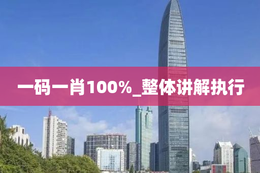 一码一肖100%_整体讲解执行