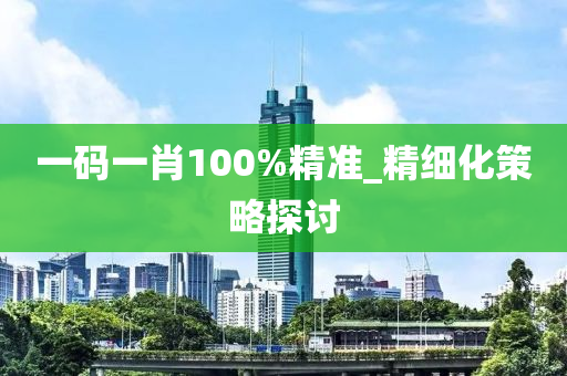 一码一肖100%精准_精细化策略探讨