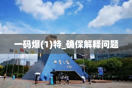 一码爆(1)特_确保解释问题