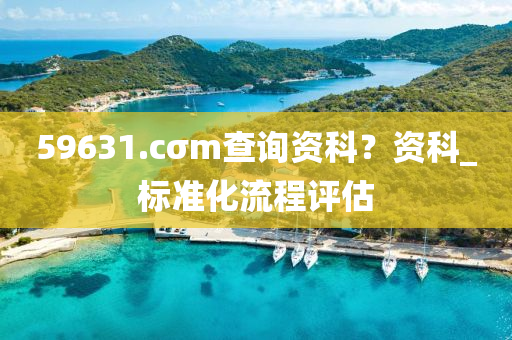 59631.cσm查询资科？资科_标准化流程评估