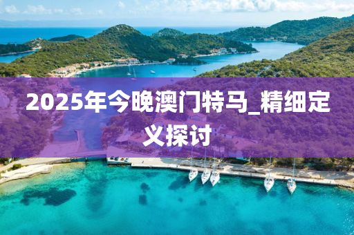 2025年今晚澳门特马_精细定义探讨