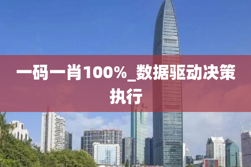 一码一肖100%_数据驱动决策执行