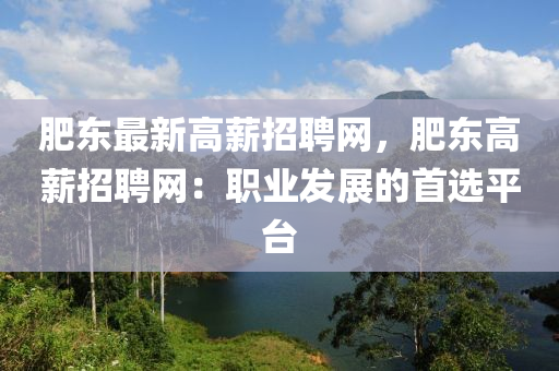 肥东最新高薪招聘网，肥东高薪招聘网：职业发展的首选平台