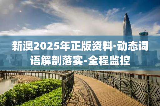 新澳2025年正版资料·动态词语解剖落实-全程监控