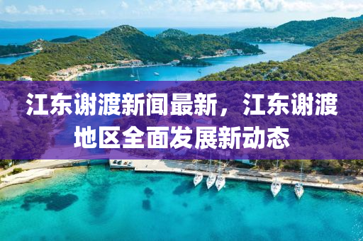 江东谢渡新闻最新，江东谢渡地区全面发展新动态