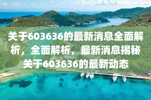 关于603636的最新消息全面解析，全面解析，最新消息揭秘关于603636的最新动态
