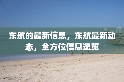 东航的最新信息，东航最新动态，全方位信息速览