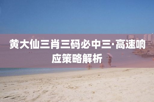 黄大仙三肖三码必中三·高速响应策略解析