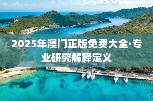 2025年澳门正版免费大全·专业研究解释定义