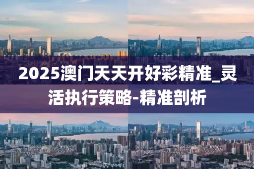 2025澳门天天开好彩精准_灵活执行策略-精准剖析