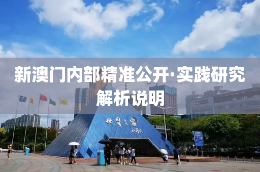 新澳门内部精准公开·实践研究解析说明