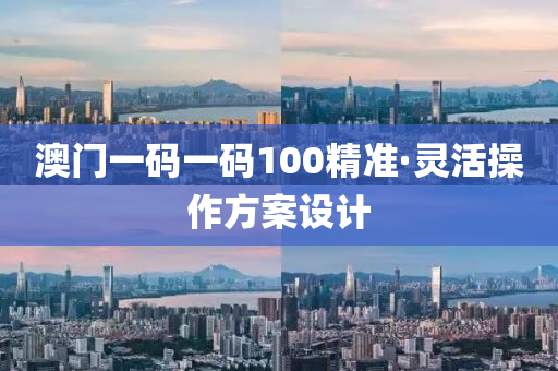 澳门一码一码100精准·灵活操作方案设计