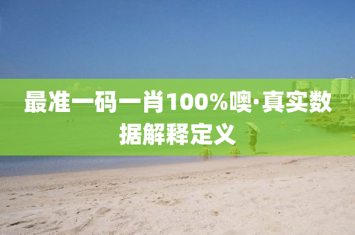 最准一码一肖100%噢·真实数据解释定义