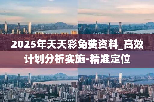 2025年天天彩免费资料_高效计划分析实施-精准定位