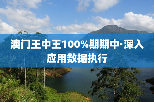 澳门王中王100%期期中·深入应用数据执行