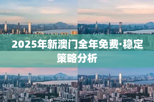 2025年新澳门全年免费·稳定策略分析