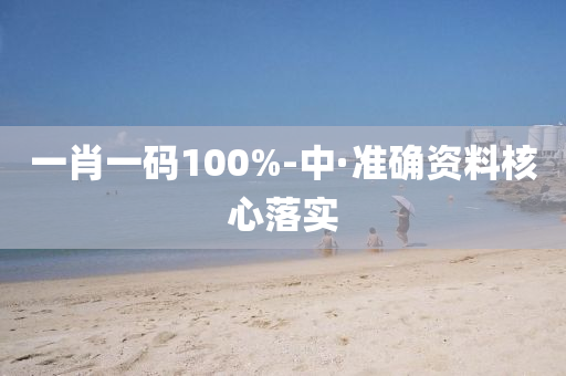 一肖一码100%-中·准确资料核心落实