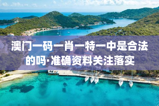 澳门一码一肖一特一中是合法的吗·准确资料关注落实