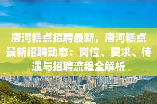 唐河糕点招聘最新，唐河糕点最新招聘动态：岗位、要求、待遇与招聘流程全解析