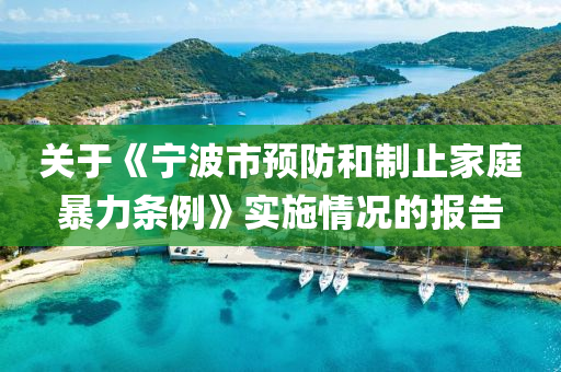 关于《宁波市预防和制止家庭暴力条例》实施情况的报告