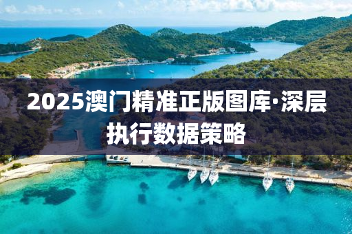 2025澳门精准正版图库·深层执行数据策略