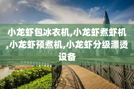 小龙虾包冰衣机,小龙虾煮虾机,小龙虾预煮机,小龙虾分级漂烫设备