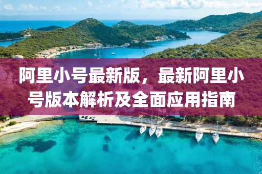阿里小号最新版，最新阿里小号版本解析及全面应用指南