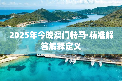 2025年今晚澳门特马·精准解答解释定义