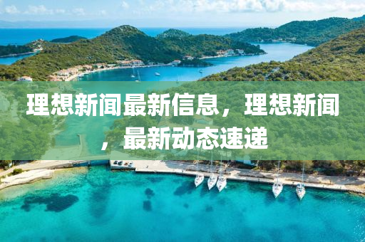 理想新闻最新信息，理想新闻，最新动态速递