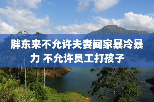 胖东来不允许夫妻间家暴冷暴力 不允许员工打孩子