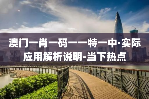 澳门一肖一码一一特一中·实际应用解析说明-当下热点
