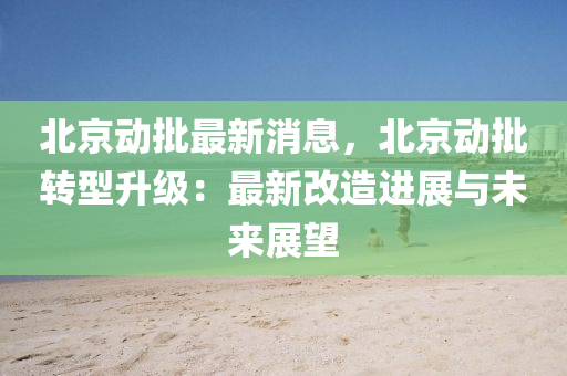 北京动批最新消息，北京动批转型升级：最新改造进展与未来展望