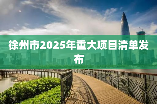徐州市2025年重大项目清单发布