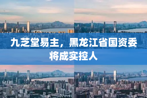 九芝堂易主，黑龙江省国资委将成实控人