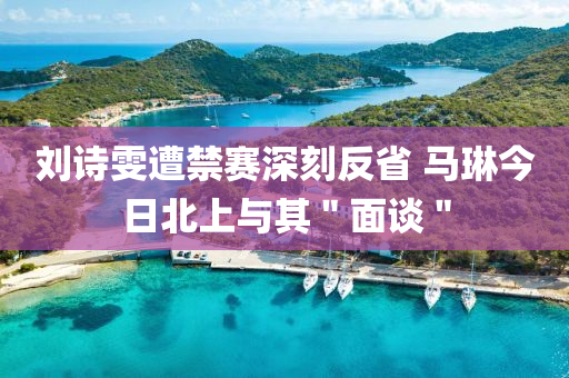 刘诗雯遭禁赛深刻反省 马琳今日北上与其＂面谈＂