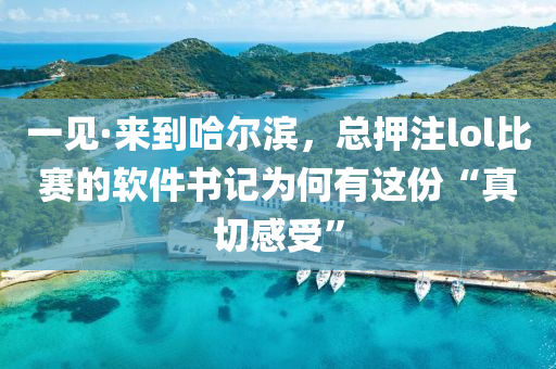一见·来到哈尔滨，总押注lol比赛的软件书记为何有这份“真切感受”
