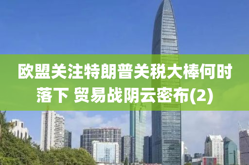 欧盟关注特朗普关税大棒何时落下 贸易战阴云密布(2)