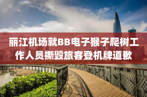 丽江机场就BB电子猴子爬树工作人员撕毁旅客登机牌道歉