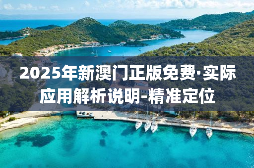 2025年新澳门正版免费·实际应用解析说明-精准定位