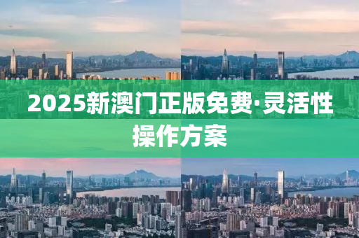 2025新澳门正版免费·灵活性操作方案