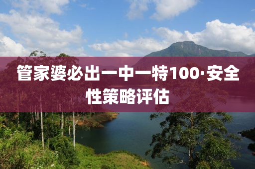 管家婆必出一中一特100·安全性策略评估