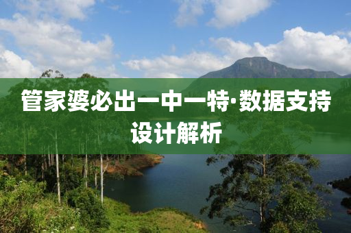 管家婆必出一中一特·数据支持设计解析