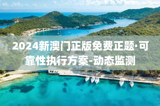 2024新澳门正版免费正题·可靠性执行方案-动态监测