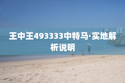 王中王493333中特马·实地解析说明