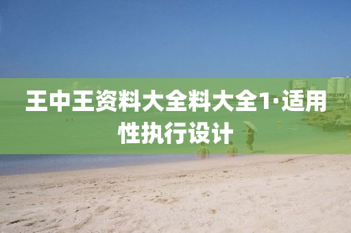 王中王资料大全料大全1·适用性执行设计